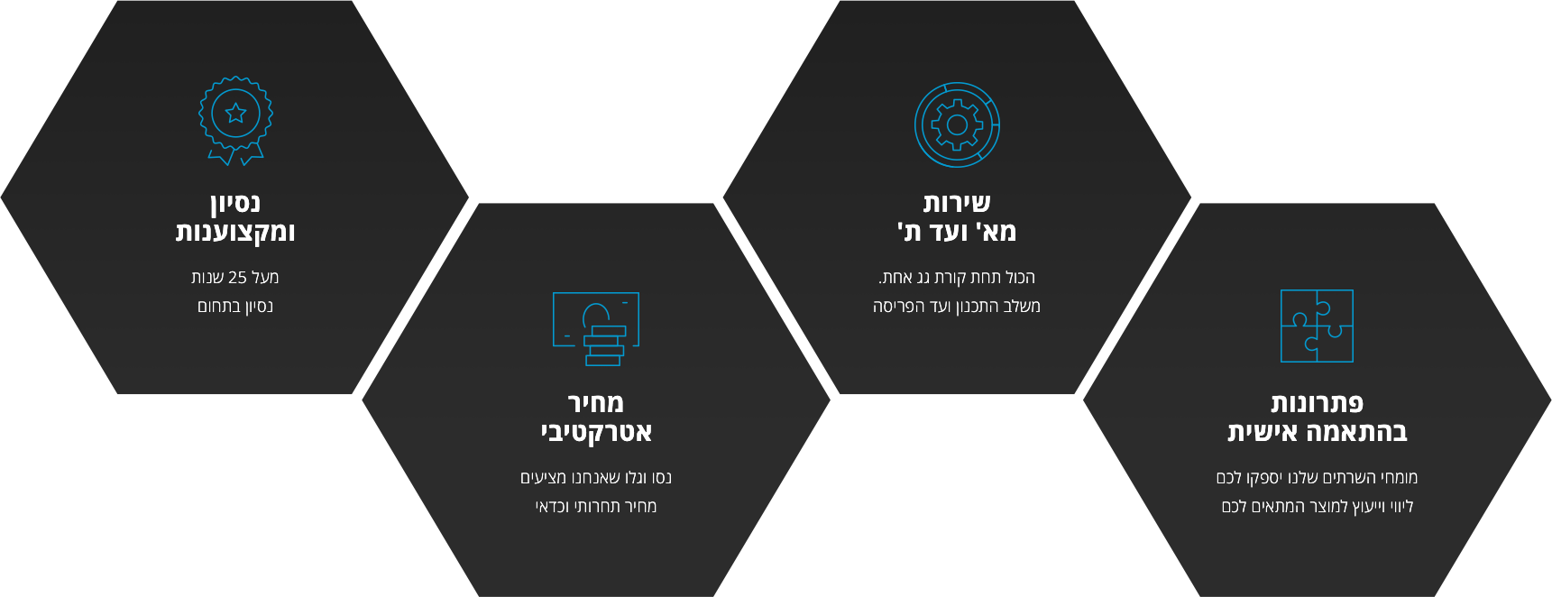 שירותי צ׳יפ